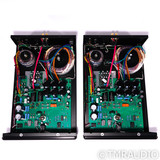 Rogue Audio DragoN Monoblock Hybrid Power Amplifier; Black Pair