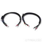 AudioQuest ThunderBird ZERO/BASS Bi-Wire Combo Speaker Cables; 4ft Pair (1/2)