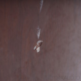 Revel Performa F328Be Floorstanding Speaker; Walnut Pair