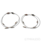 High Fidelity Cables CT-2 Speaker Cables; 2m Pair