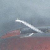 Miyajima Laboratory Carbon MC Cartridge; Moving Coil (Unused)