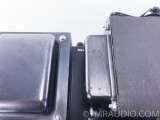 Quicksilver Audio GLA Stereo Tube Power Amplifier