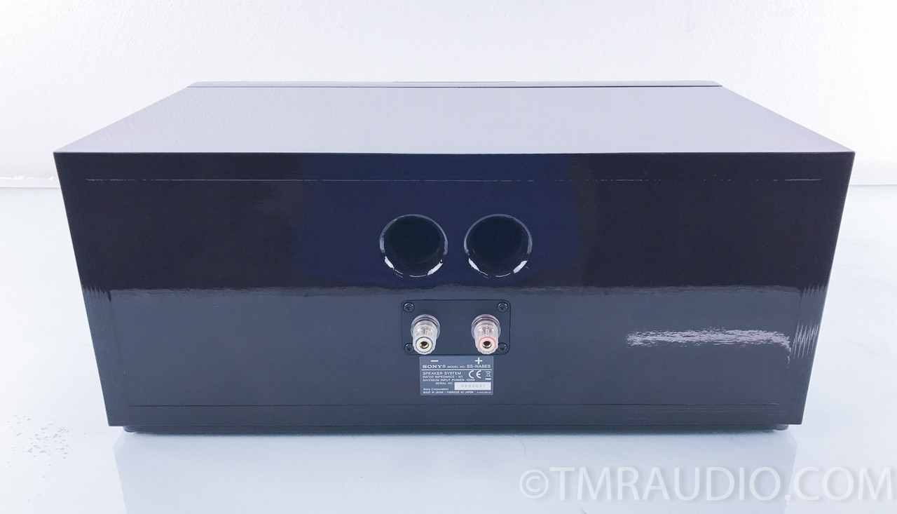 Sony SSNA8ES Center Channel Speaker The Music Room