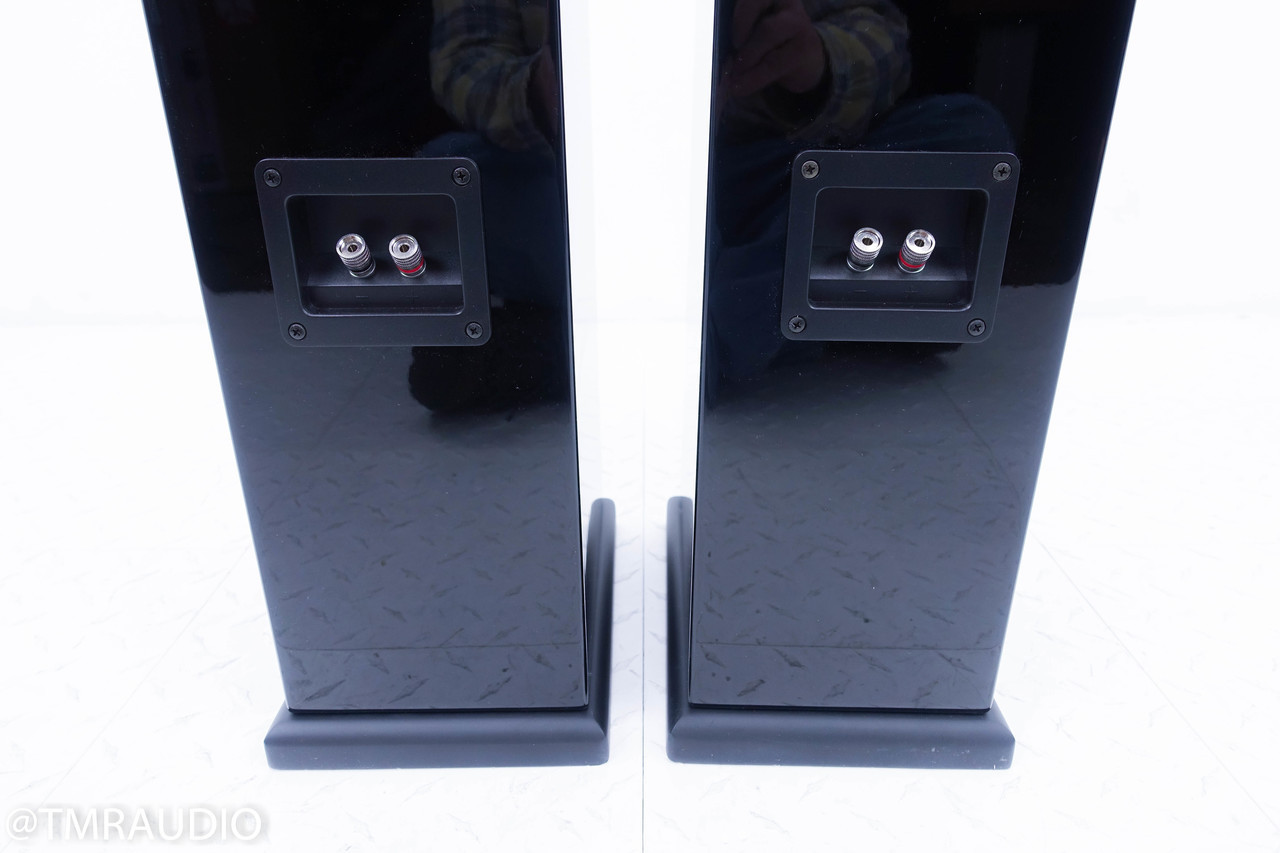 pinnacle bd 1000 tower speakers