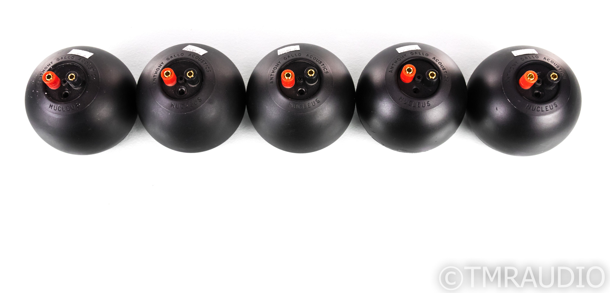 ANTHONY GALLO アンソニーギャロ 2個セット スタンド付 ANTHONY GALLO