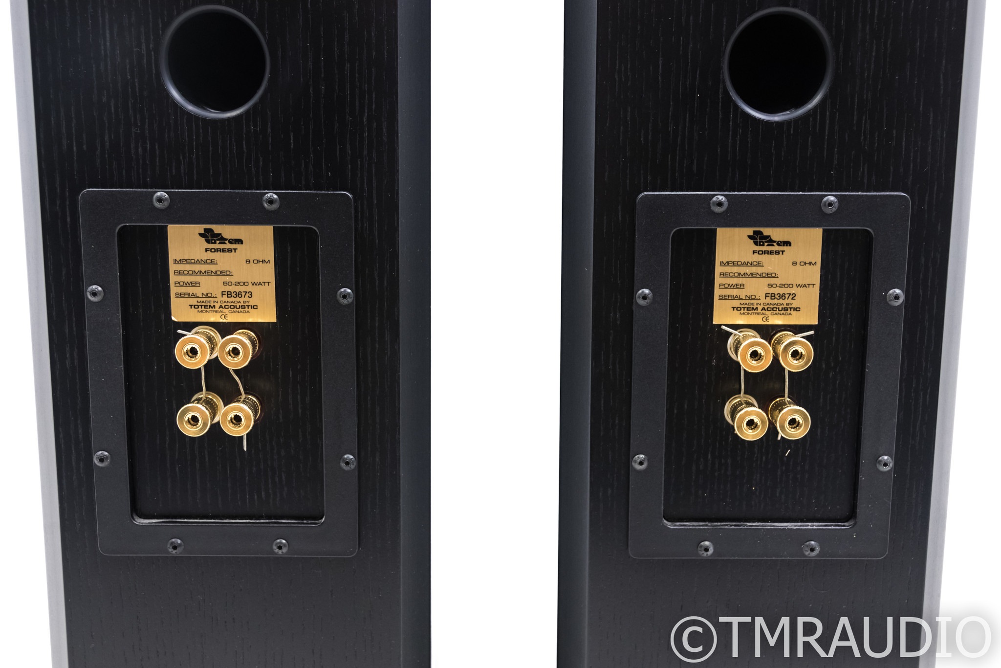 totem forest speakers