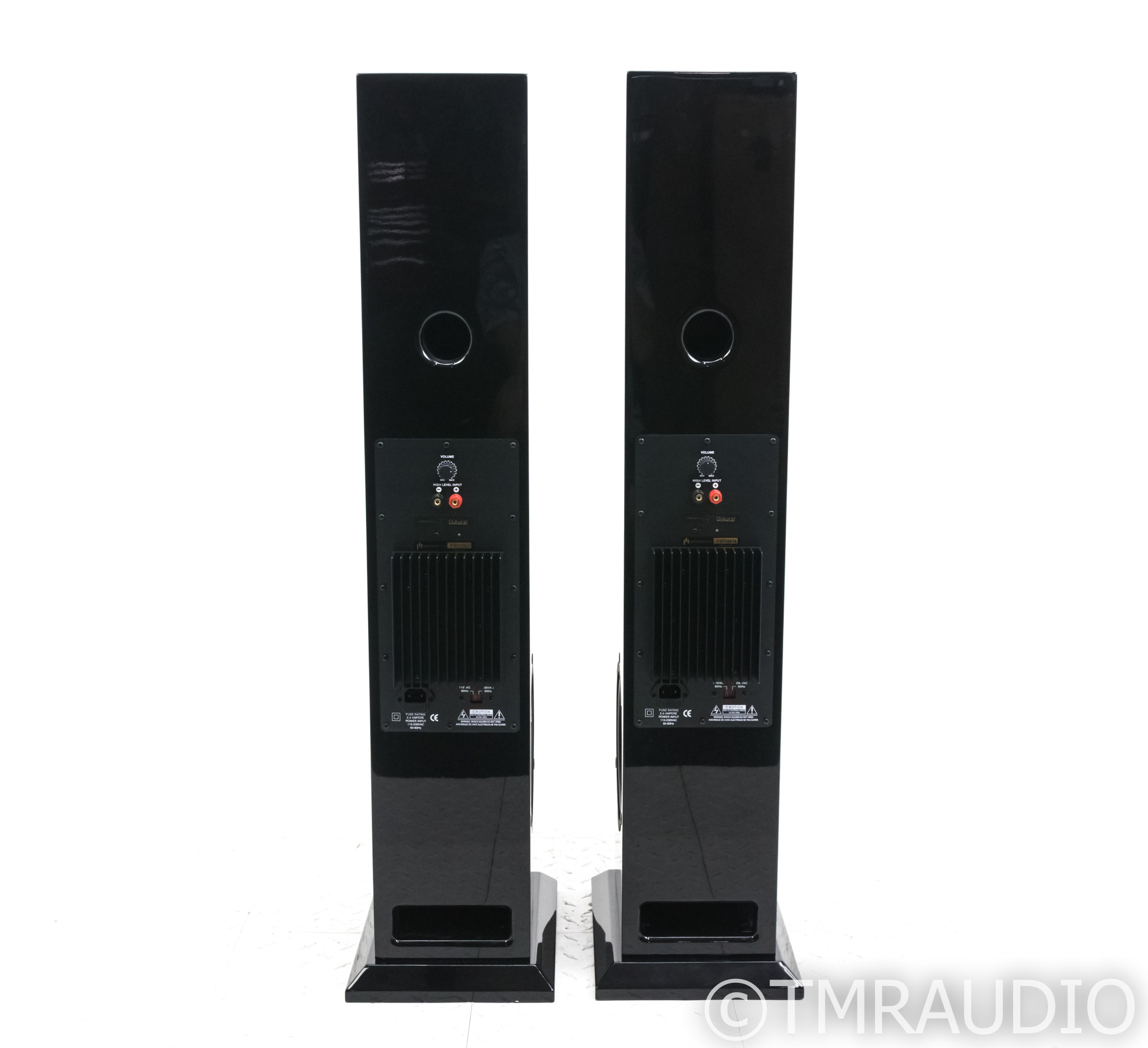 Aperion Audio Intimus 522D-PT Active 