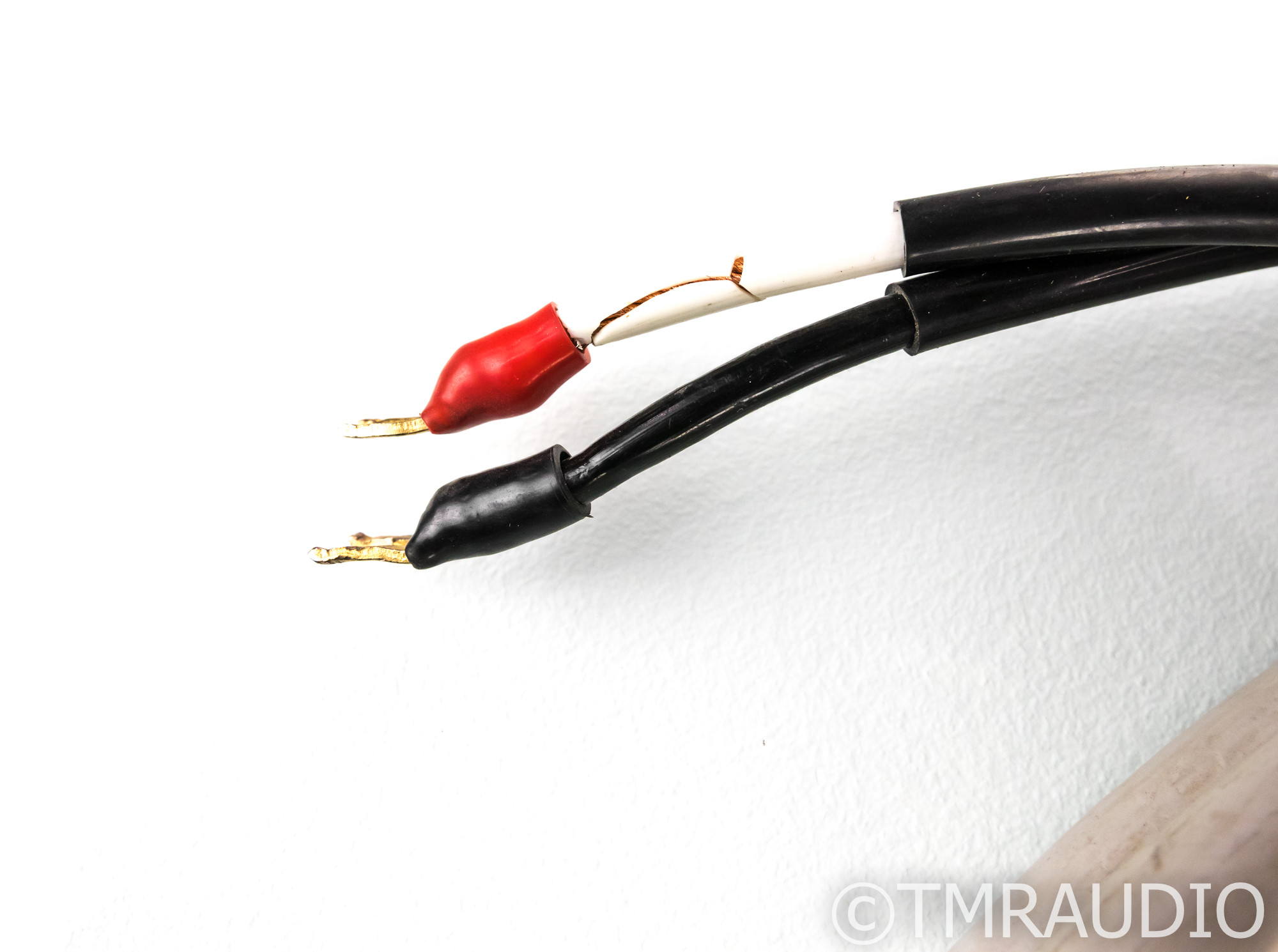 monster m1 speaker cable