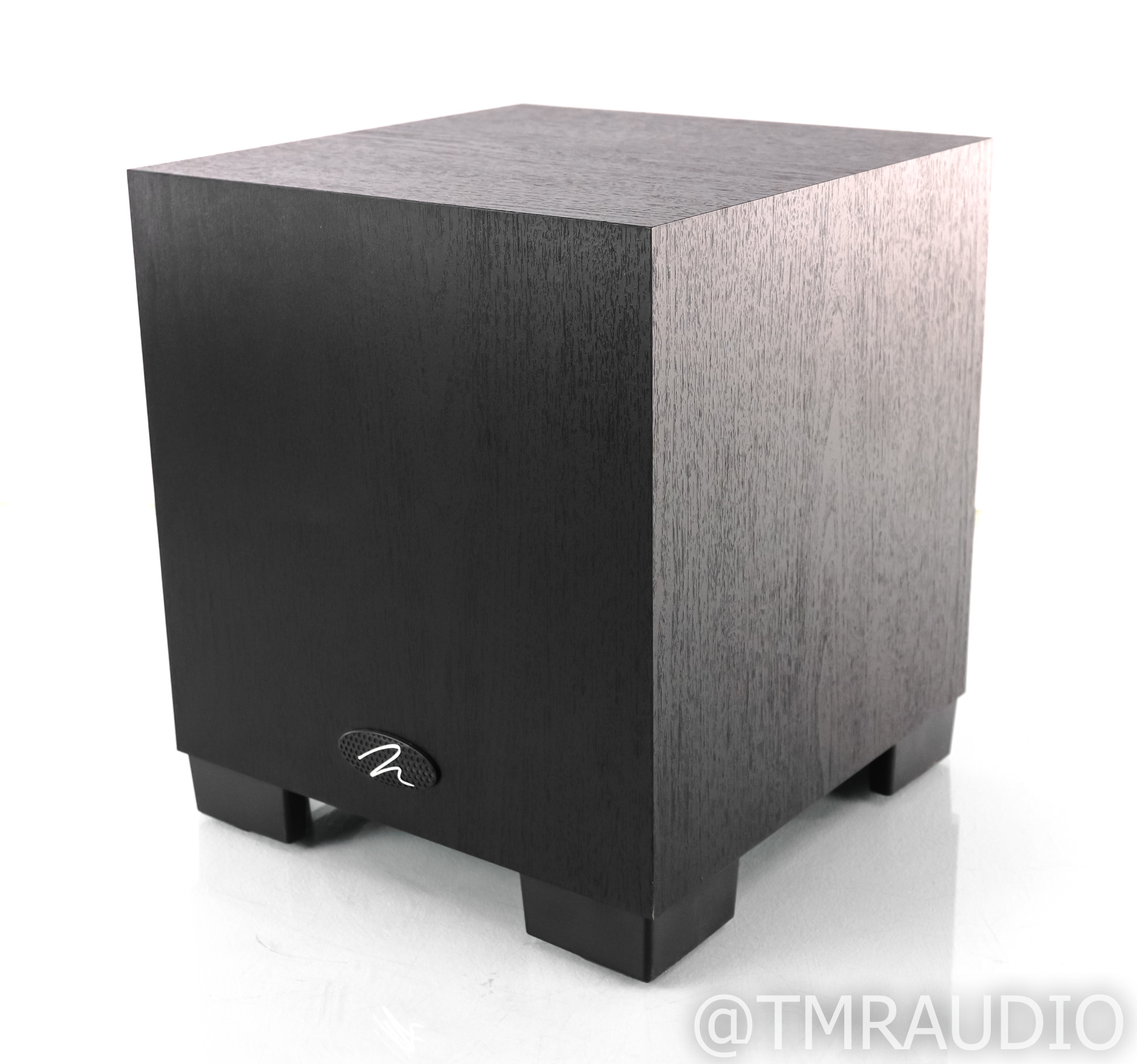 martin logan dynamo 300 review