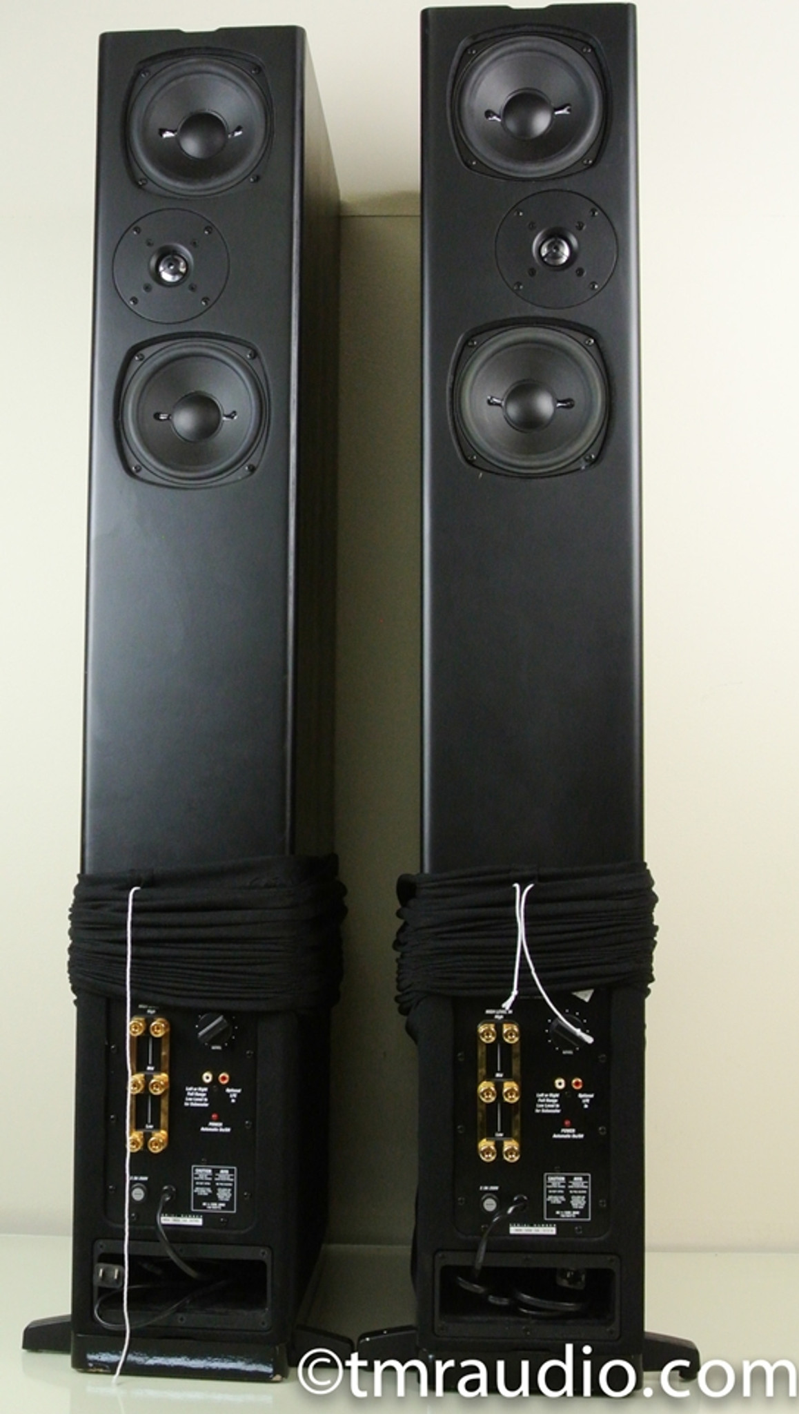 Definitive Technology BP-2002 Floor-standing Bipolar Powered Speakers