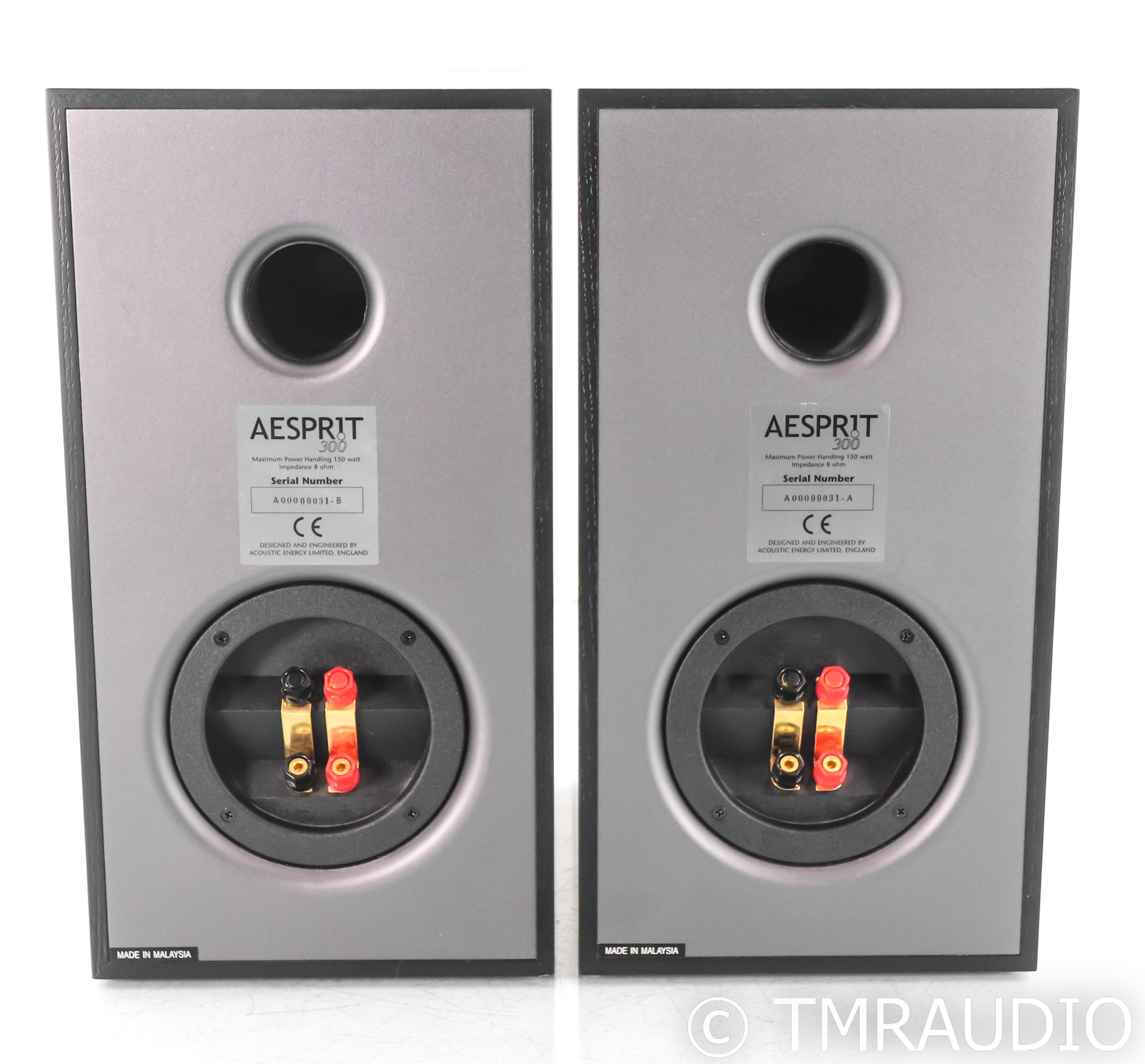 acoustic energy aesprit 300