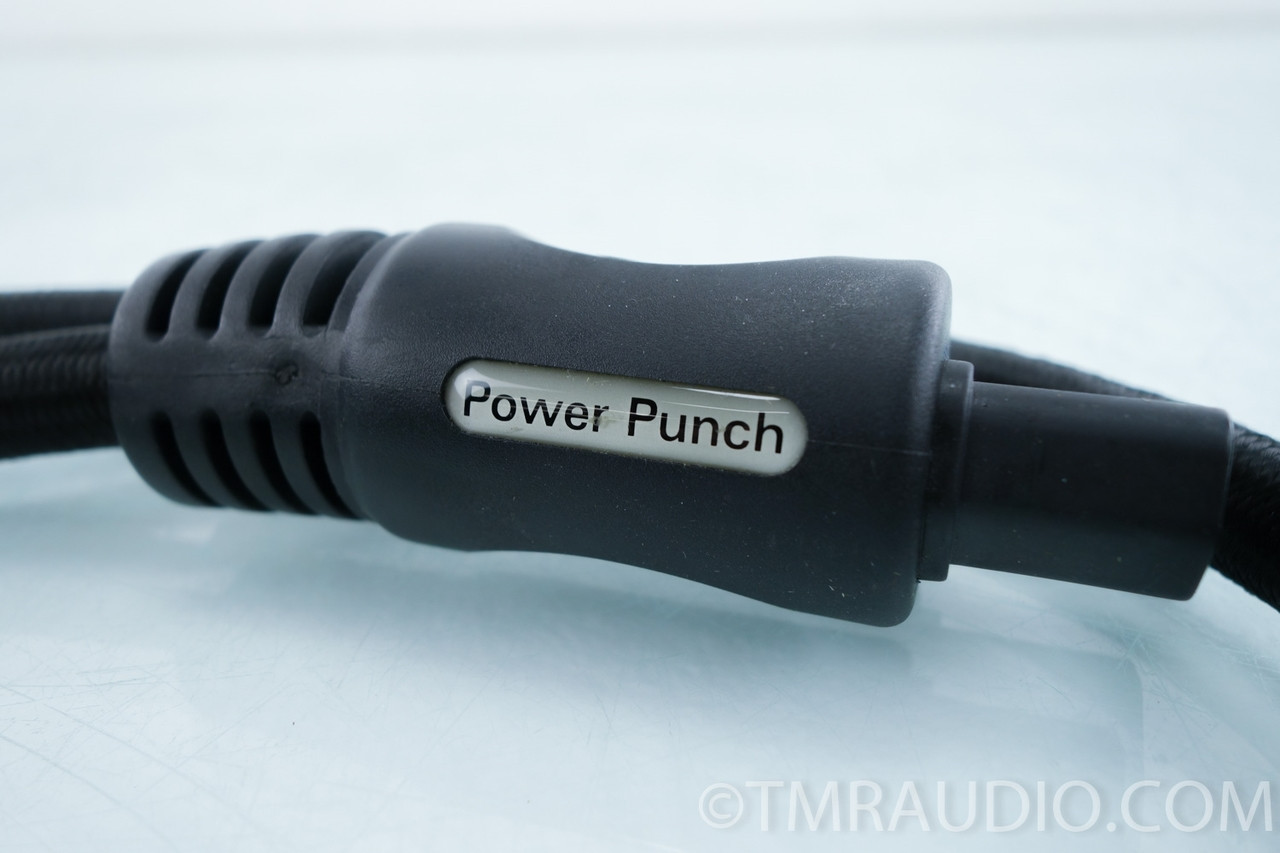PS Audio Power Punch Power Cable; 1m AC Cord The Music Room