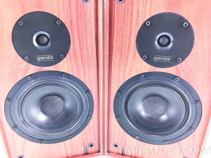 Spendor SP3/1P Bookshelf Speakers; Pair - The Music Room