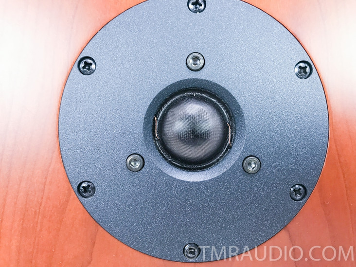 Dynaudio Focus 360 Floorstanding Speakers; Cherry