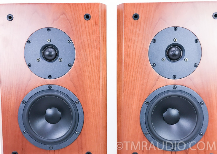 Dynaudio Focus 360 Floorstanding Speakers; Cherry