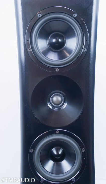 YG Acoustics Sonja 1.2 NVS Collaboration; Black Pair