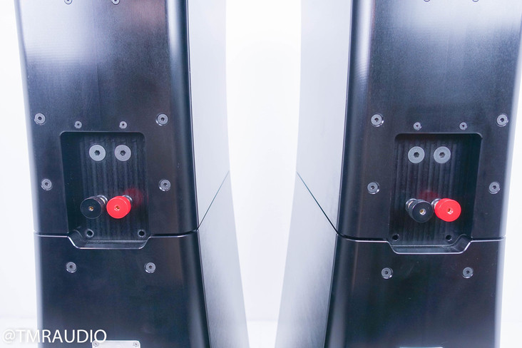 YG Acoustics Sonja 1.2 NVS Collaboration; Black Pair