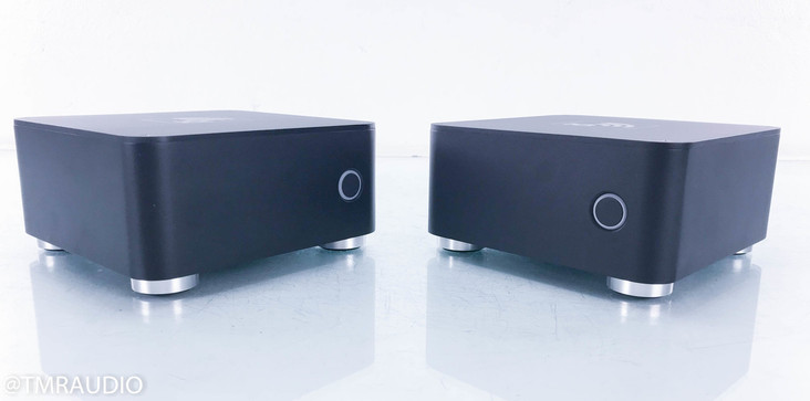 Blue Rose Audio IQ M300 Mono Power Amplifier; Pair