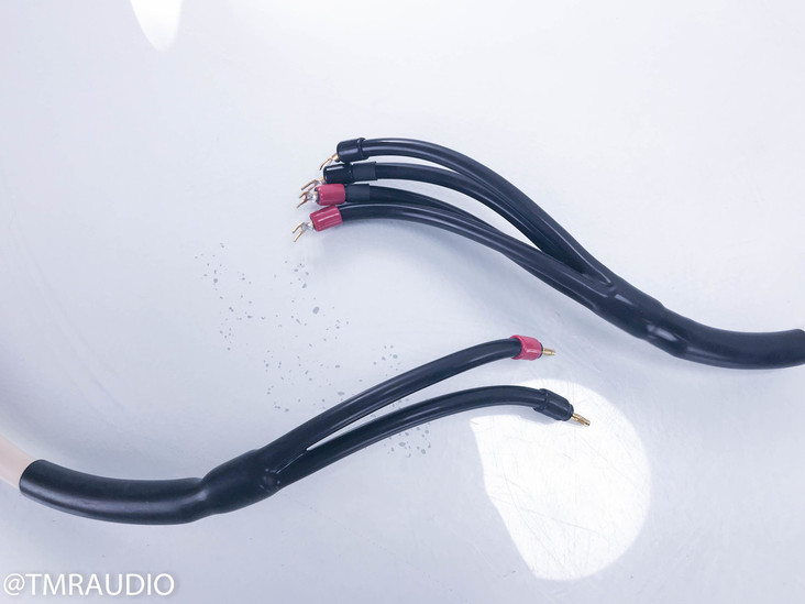 Transparent Audio MusicWave Plus Biwire Speaker Cables; MM1; 8ft Pair