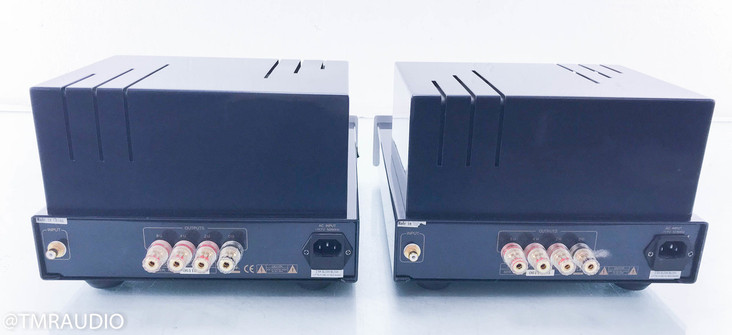 PrimaLuna ProLogue 7 Mono Power Amplifier; Silver Pair