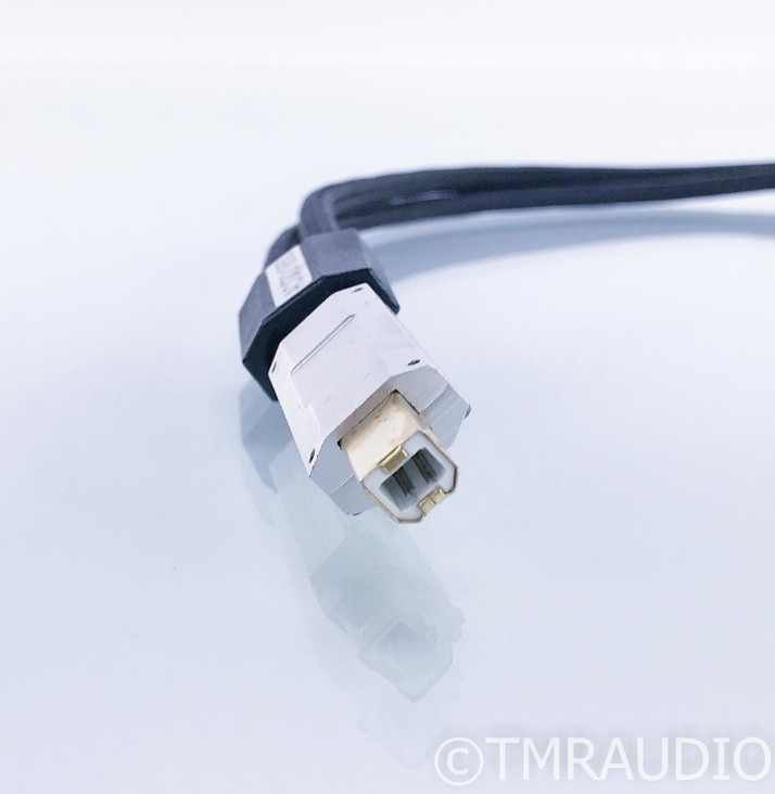 iFi Gemini Dual-Head USB Cable; .7m Digital Interconnect