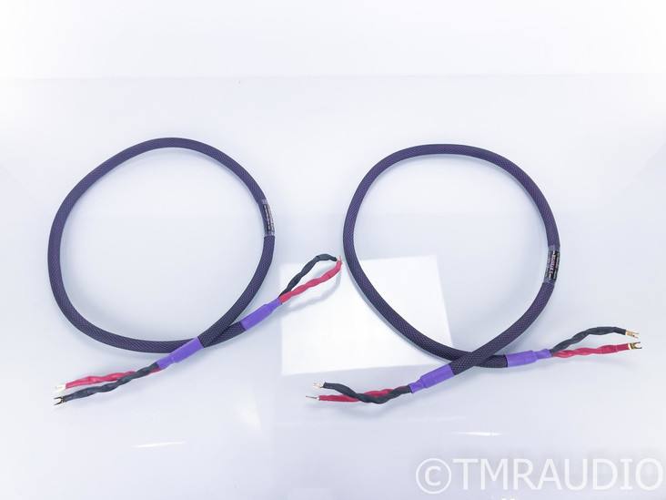 Acoustic Zen Hologram II Speaker Cables; 6ft Pair