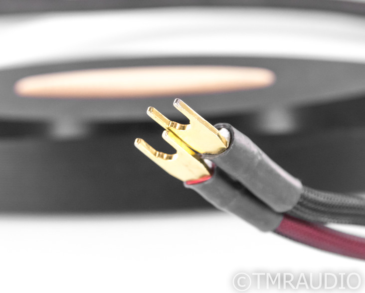 Transparent Audio MusicWave Ultra Bi-Wire Speaker Cables; 10ft Pair