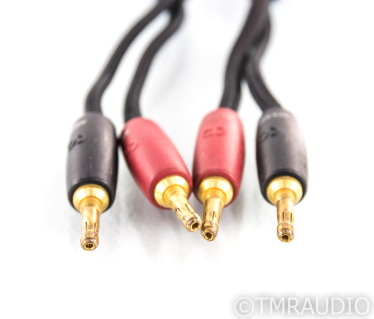 AudioQuest Type 4 Speaker Cables; 4.5m Pair
