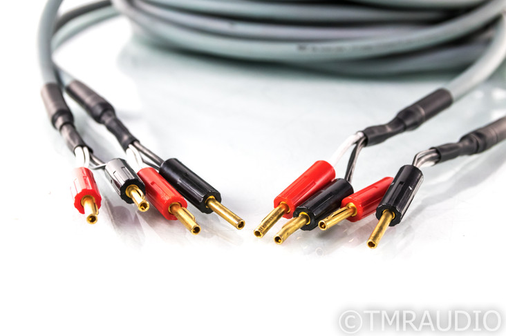 MIT EXp Speaker Cables