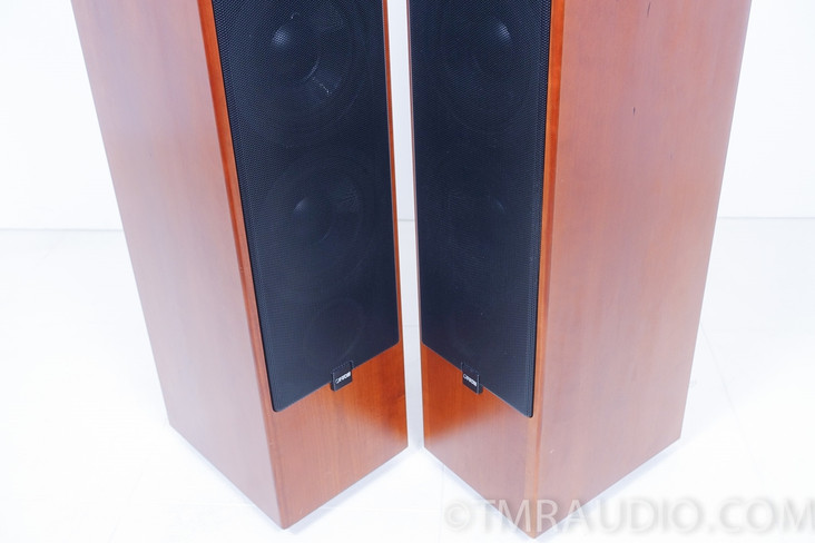 Canton Ergo 900 DC Floorstanding Speakers; Cherry