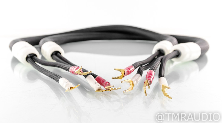 Shunyata Orion Speaker Cables; 5ft Pair