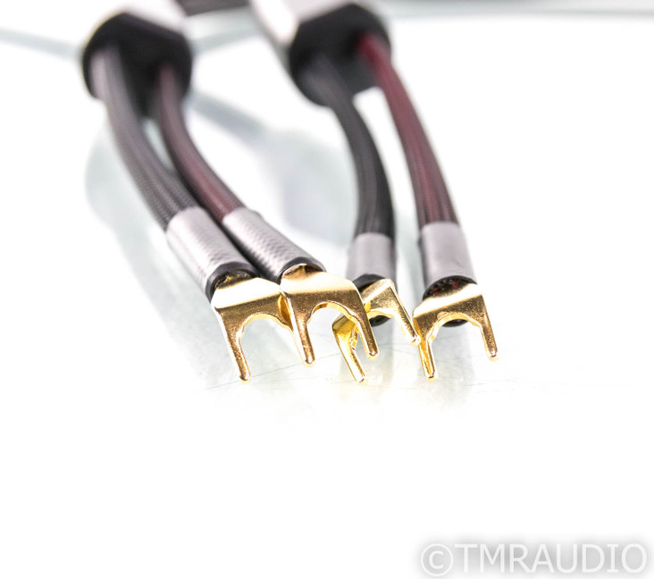 Transparent Audio Plus Speaker Cables; Gen 5; 12ft Pair (SOLD)