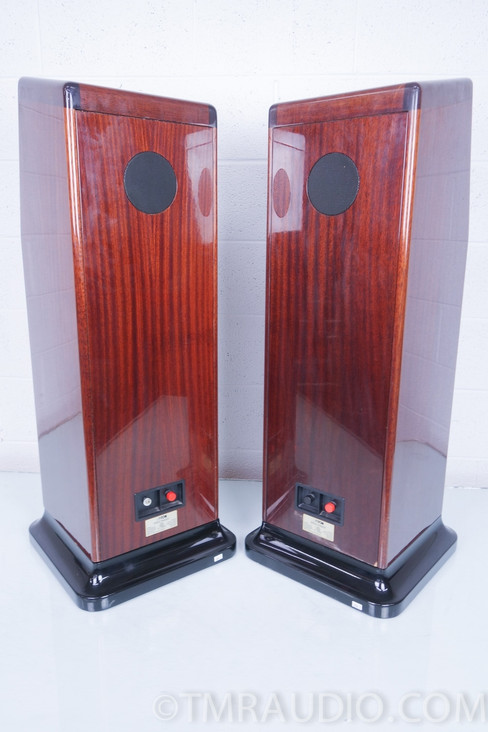 Canton Ergo Pass IV Speakers; Gorgeous Floorstanding Speaker Pair