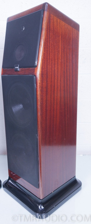 Canton Ergo Pass IV Speakers; Gorgeous Floorstanding Speaker Pair