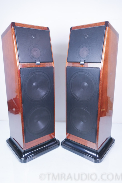 Canton Ergo Pass IV Speakers; Gorgeous Floorstanding Speaker Pair