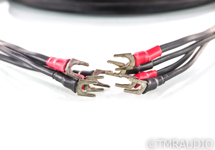 Synergistic Research Tesla Acoustic Reference Speaker Cables; 12ft Pair; Spades