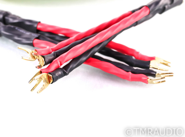 Virtue Audio Nirvana Speaker Cables; 4m Pair