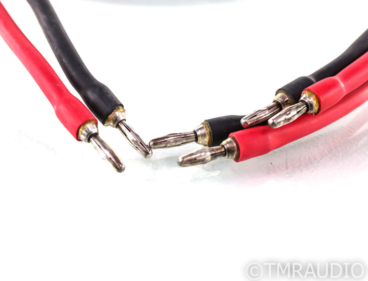 WireWorld Equinox 5 Biwire Speaker Cable; Single; 2m