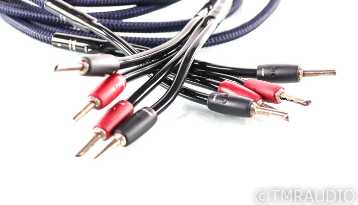 AudioQuest Type 4 Speaker Cables; 10ft Pair (SOLD4)