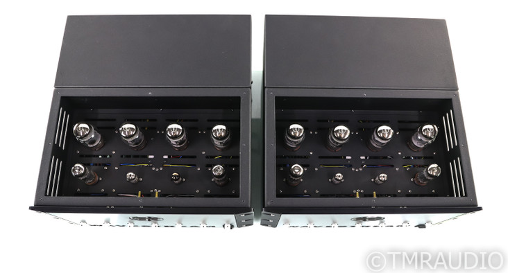 Wavestream Kinetics Boxter M100 Mono Tube Power Amplifier; Pair; NOS Input Tubes