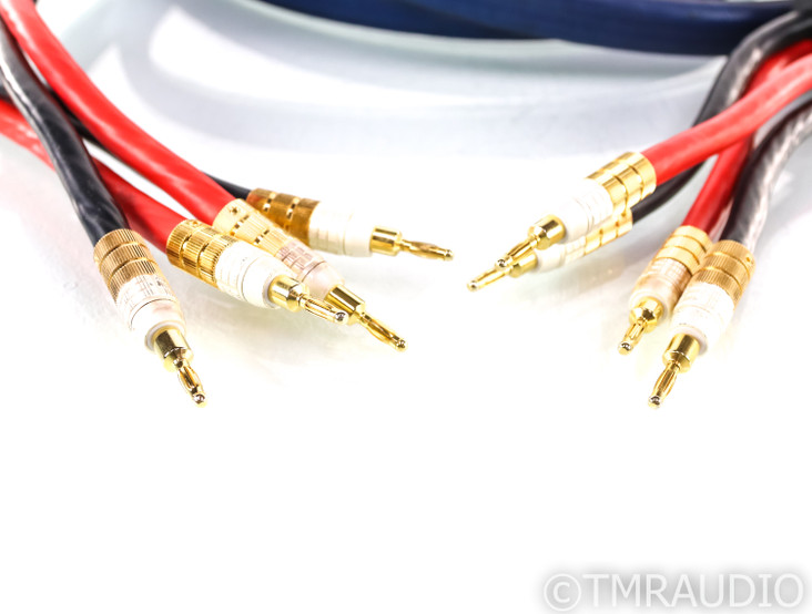 PS Audio xStream Statement Speaker Cables; 3m Pair; Spade & Banana Terminations (SOLD)