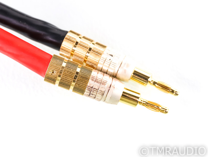 PS Audio xStream Statement Speaker Cables; 3m Pair; Spade & Banana Terminations (SOLD)