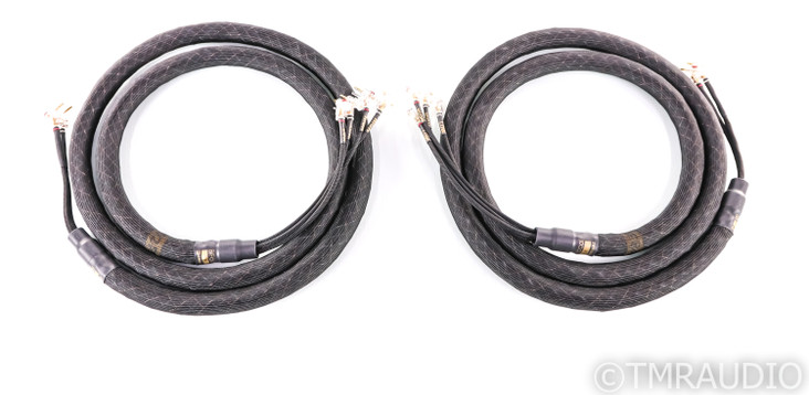 Kimber Kable Bifocal-X Biwire Speaker Cables; 10ft Pair