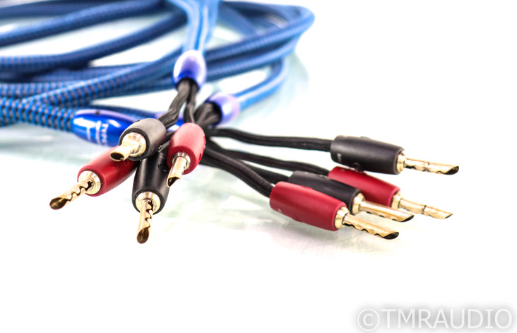 AudioQuest Type 4 Speaker Cables; 10ft Pair