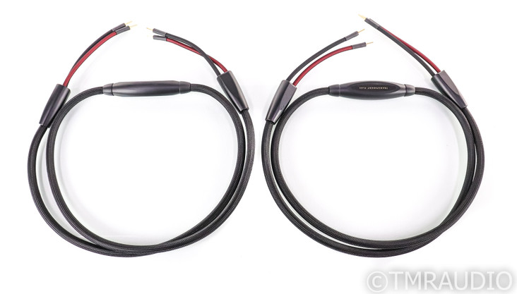 Transparent Audio Plus Speaker Cables; Gen 5; 8ft Pair