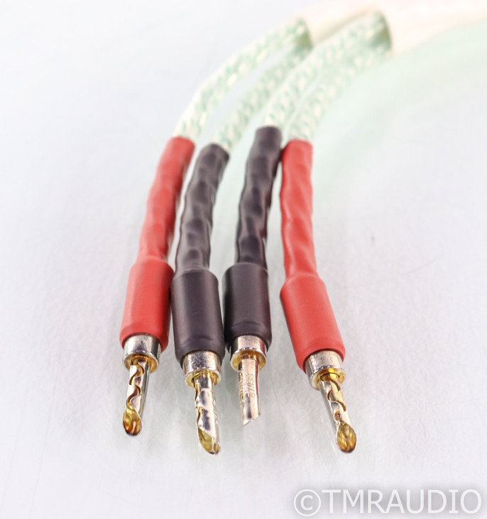 Core Power Defiant Diamond Speaker Cables; 2.5m Pair