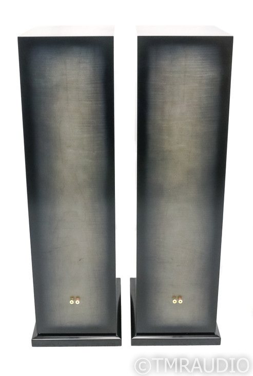 Salk Song 3 Encore Floorstanding Speakers; Pair; Curly Maple with Silver Gray Dye (SOLD)