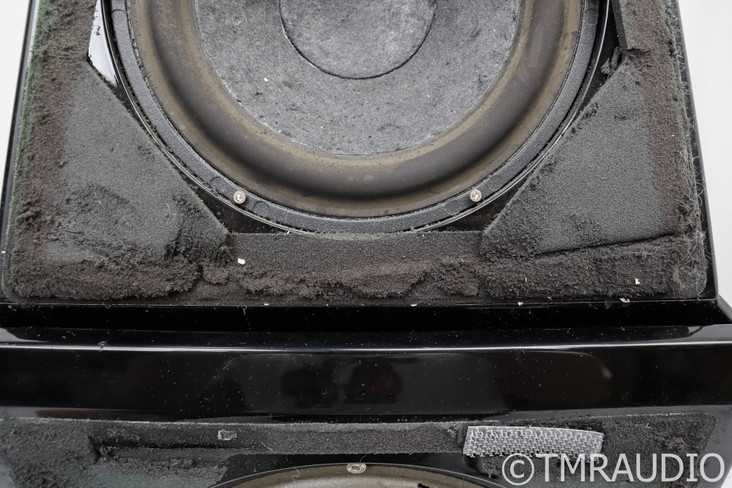 Wilson Audio Watt/Puppy Series 6 Full Range Speakers; AS-IS (Deteriorated Foam)