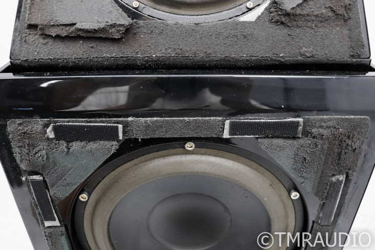 Wilson Audio Watt/Puppy Series 6 Full Range Speakers; AS-IS (Deteriorated Foam)