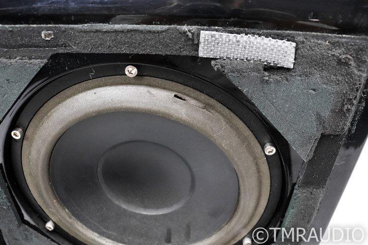 Wilson Audio Watt/Puppy Series 6 Full Range Speakers; AS-IS (Deteriorated Foam)